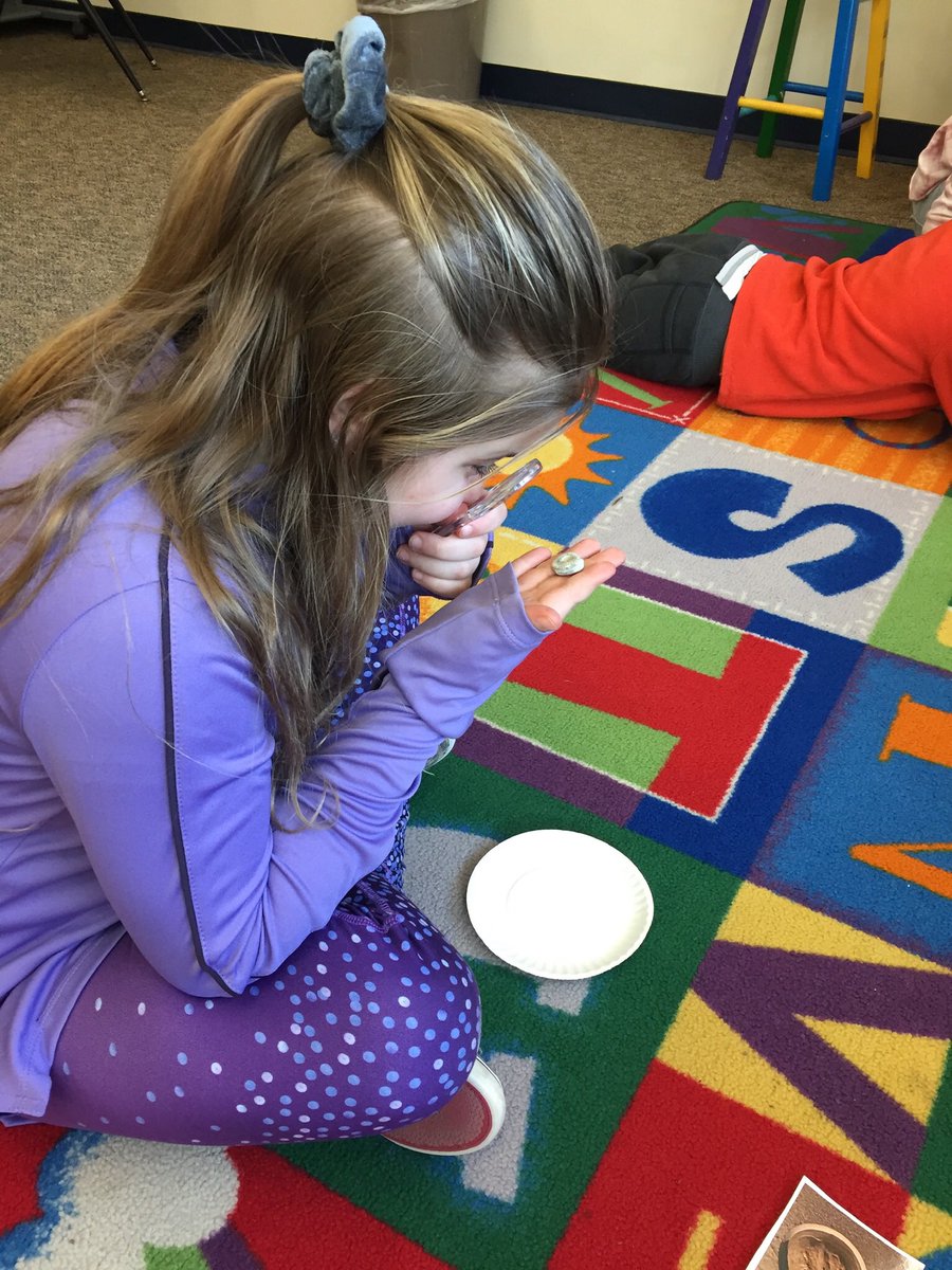 JennyTinelli's tweet photo. Making science observations of fossils 🦴🍃#3rdgrade #tvbears https://t.co/KDRMATApYL