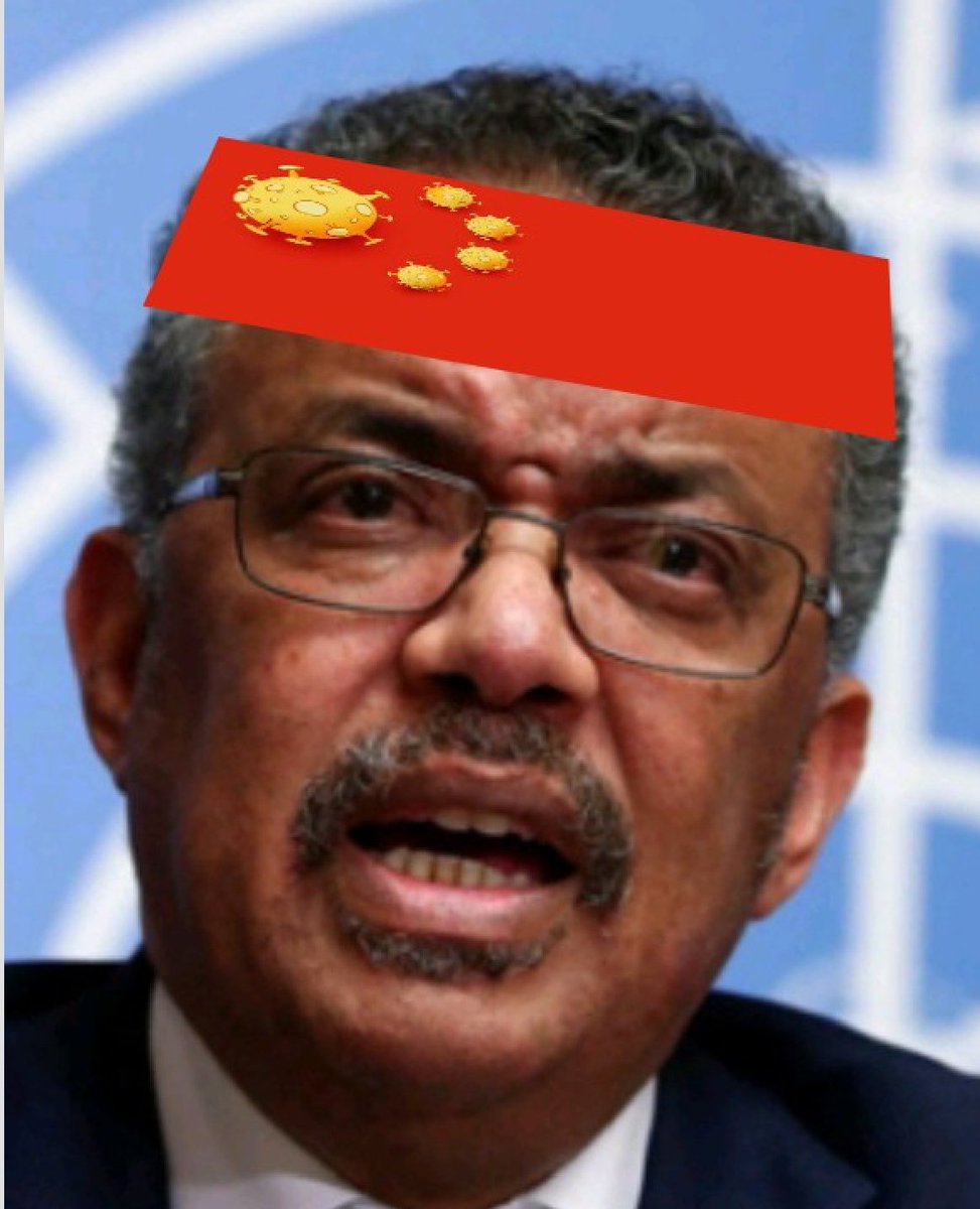 Tedros Adhanom Ghebreyesus on Twitter: "Watch now @SCBriand, @WHO Director  for epidemic & pandemic diseases, briefing media on #2019nCoV. Sylvie just  returned from a mission to #China. She'll talk about 'infodemics' &