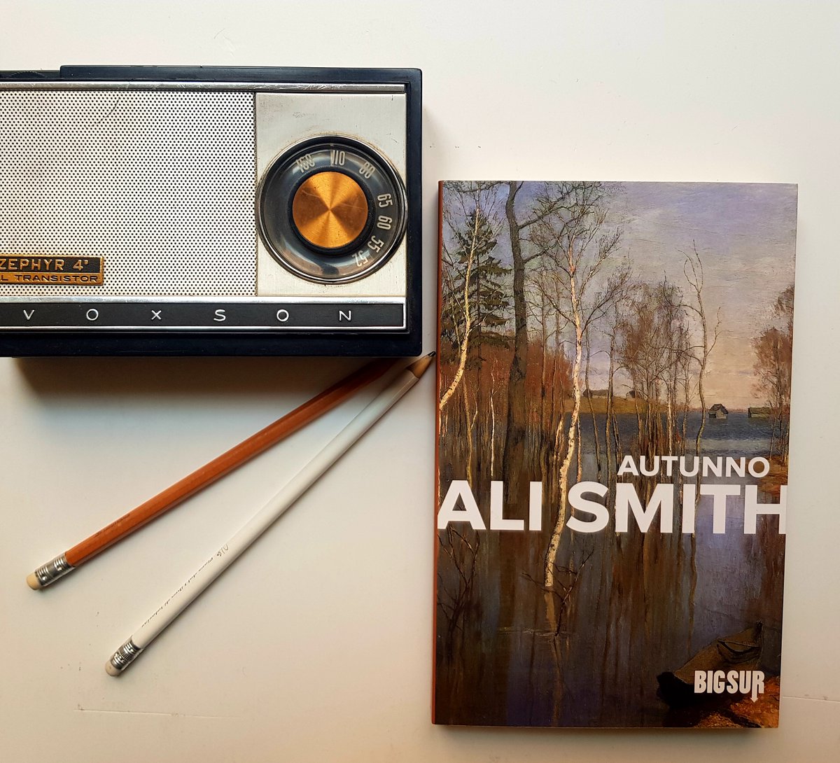 «Bisogna sempre leggere qualcosa, disse lui. Anche quando non stiamo fisicamente leggendo. Altrimenti come facciamo a leggere il mondo?».
E in questo periodo, più che mai, rileggiamo «Autunno» di Ali Smith, traduzione di Federica Aceto.🍂🍁
#brexit #leggoSUR #AliSmith #autunno