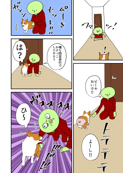 実家でコーギーと遊ぶ。 その47
#コーギー 