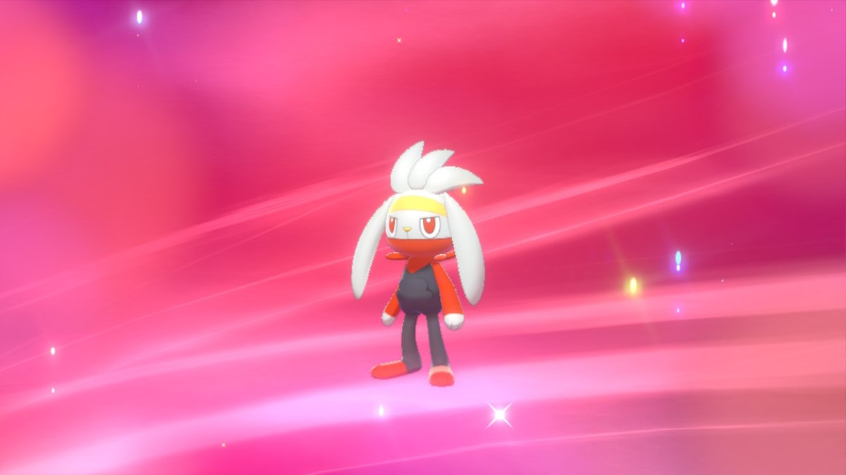 ゼロ クッパ ポケモン剣盾 Nintendoswitch 昼間に進化したヒバニー