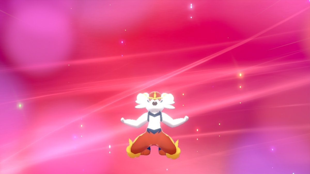 ゼロ クッパ ポケモン剣盾 Nintendoswitch 昼間に進化したヒバニー