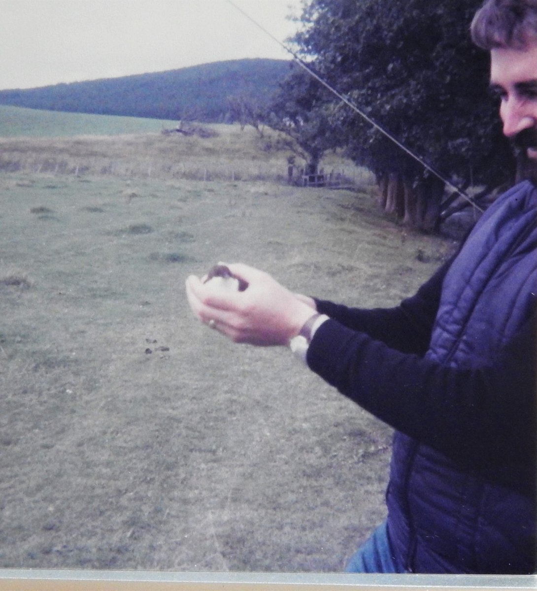 SamSolihull's tweet photo. This was me when I was about twelve. Found a Dipper (Gularis aquaticus) in a field near Inverness. It was stunned but thankfully still alive. Fifteen minutes cuddle in a warm hand (Fuelled by my whisky the night before!} and he/she was fully revived. 🤠 https://t.co/HLClEMdEf7