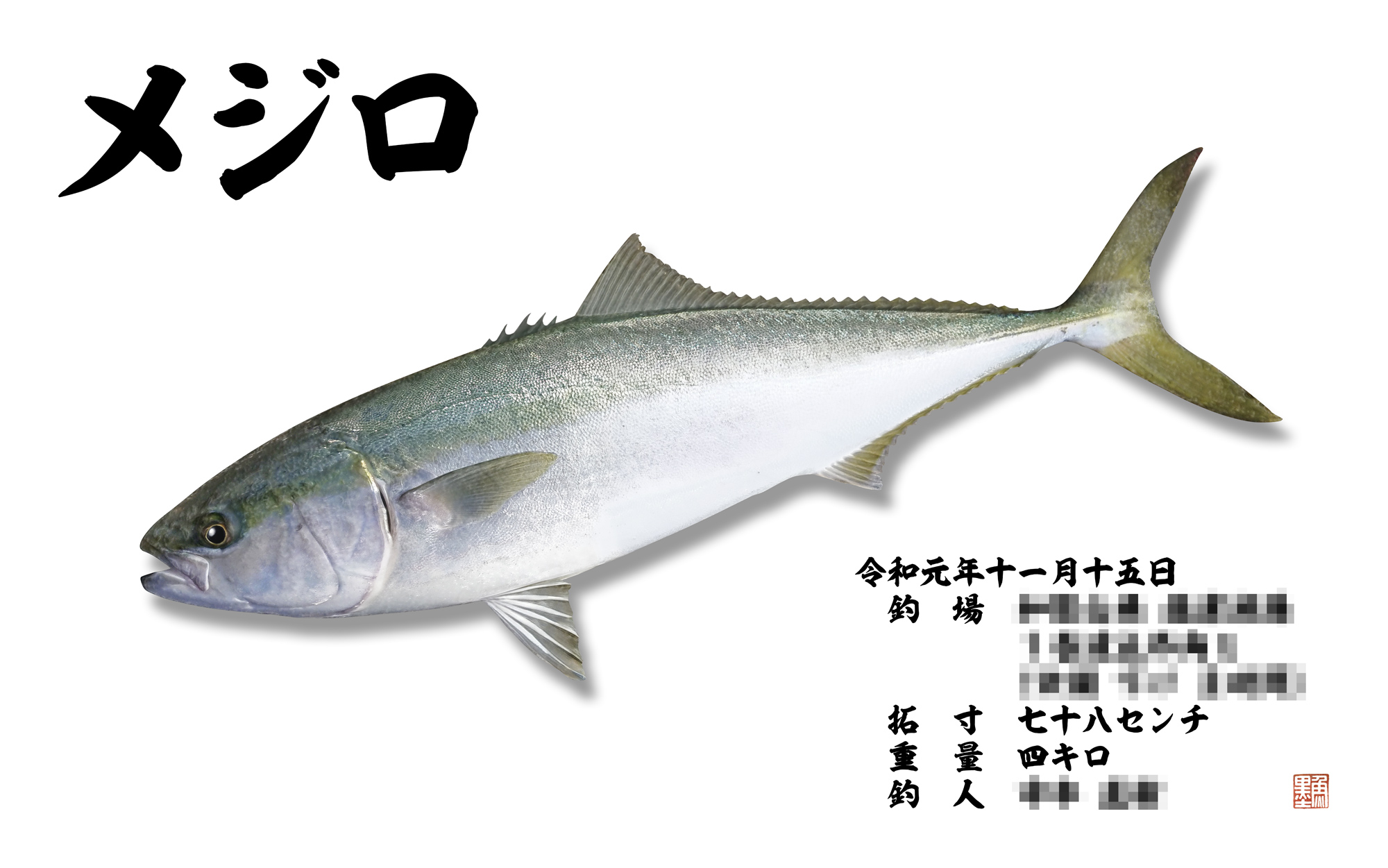 デジタル魚拓 魚墨 本日のご紹介は リアル魚拓 メジロ 78 78 のメジロはもうブリと言ってもよいようなサイズ感です 味もブリに引けを取らないのではないのでしょうか 今回はリアル魚拓できらめきが美しい作品になりました 自然の色はなんとも神秘的