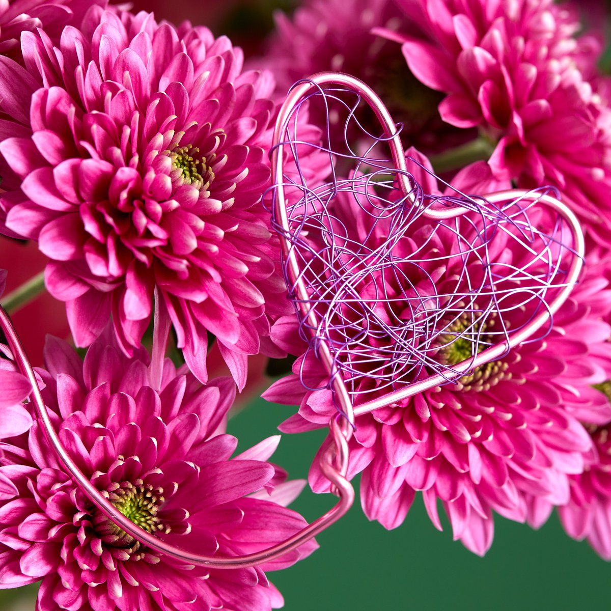 Floritec tweet media