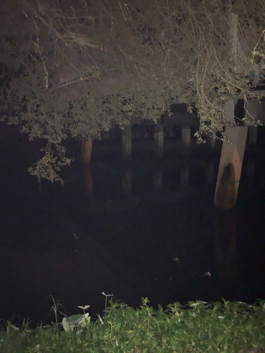 SpookyBalzano's tweet photo. The #haunted Amish #ghostbridge in #pinecraft...#tol episode on the background into the #legend will come later this week
#followthesigns #ghost #folklore #urbanlegend #haunted #hauntedplaces #ghoststories #podcast #iris #amishghost #amosandingrid https://t.co/FSZZQIyCPv