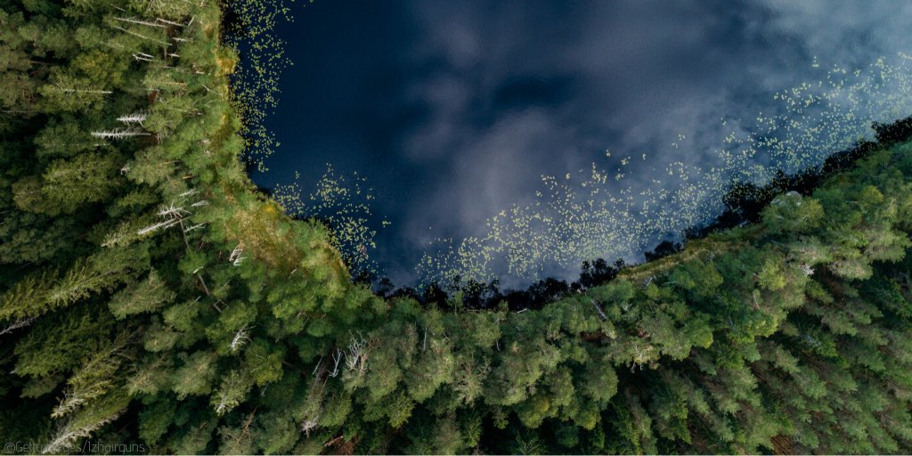 "Carbon sinks are key to keep ecosystems healthy. For the 1st time, we will have a comprehensive strategy under the #EUGreenDeal to change our situation. 
Make our🌲🌴🌳 great again!"
<a href="/EU_ENV/">EU Environment</a> Director-General <a href="/DCallejaEC/">Daniel Calleja</a> today @ #ForestsEU