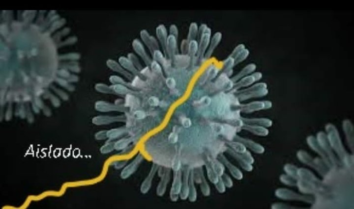 CIMBUC2's tweet photo. Científicos italianos aíslan el coronavirus para el desarrollo de tratamiento

Un hospital en Roma anunció el domingo que aisló la secuencia de ADN del coronavirus.

Al visitar el Instituto Nacional de Enfermedades. Sigue la cuenta de IG del Dr. @aamunoz78 y verás post completo https://t.co/m3RnsnhCEC