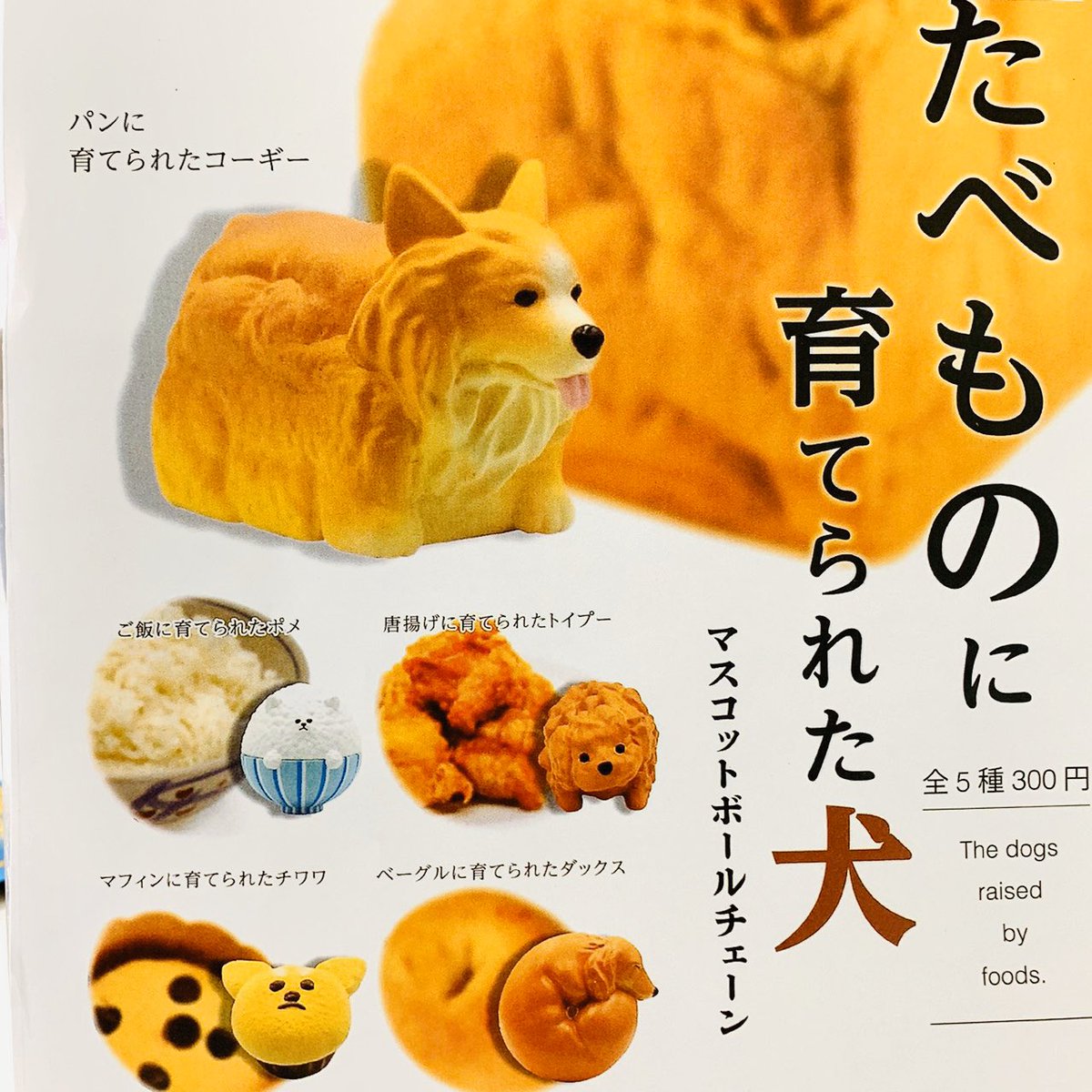 たべものに育てられた犬