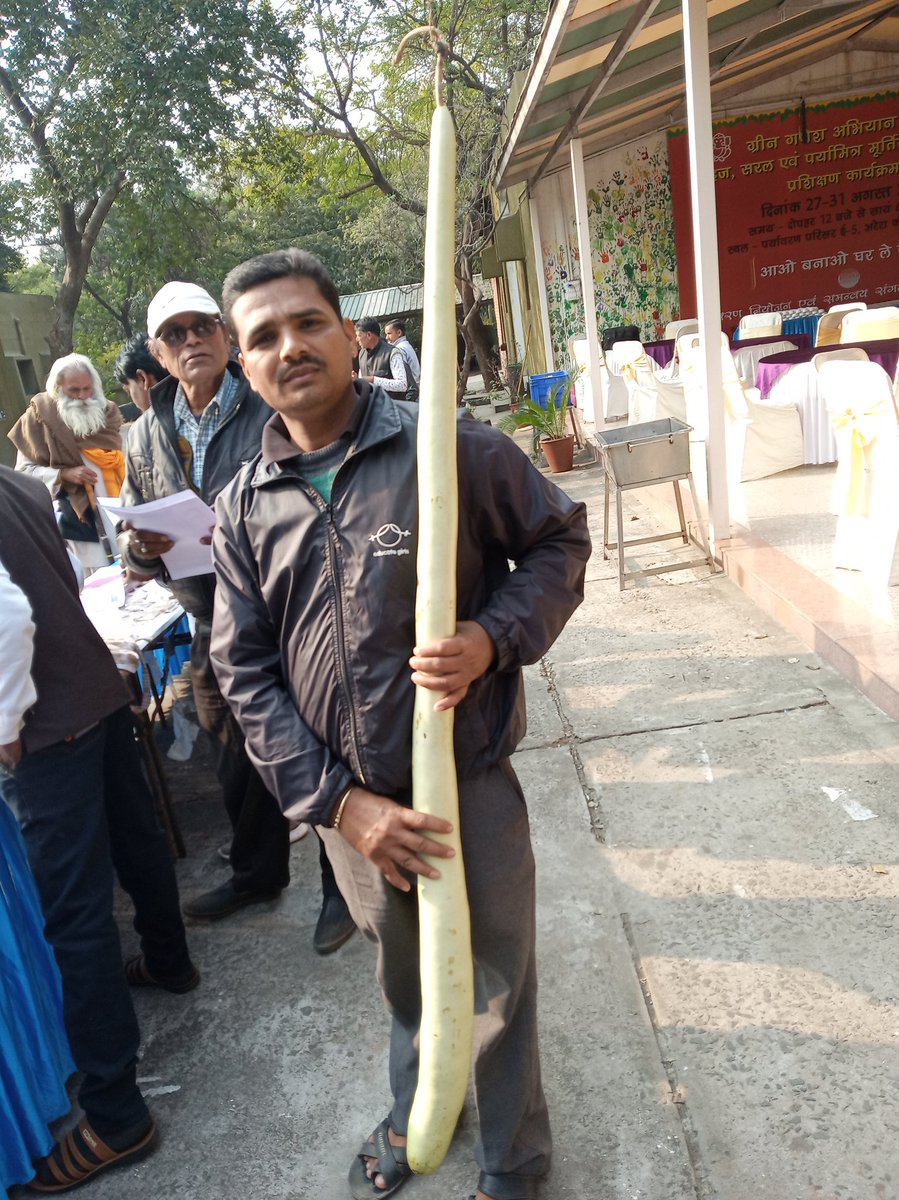Surendr84893858's tweet photo. आज 4 फरवरी 2020 को बीज नायक समेलन जैव विविधता बोर्ड भोपाल द्वरा देसी बीजो की प्रर्दर्शनी अयोजित की गई। जिसमें अनेक देसी बीजो को देखने को मिला #evolintar @CMMadhyaPradesh @Deepakmistry79 @OfficeOfKNath @collectorjhabua https://t.co/kB4JSypbvN