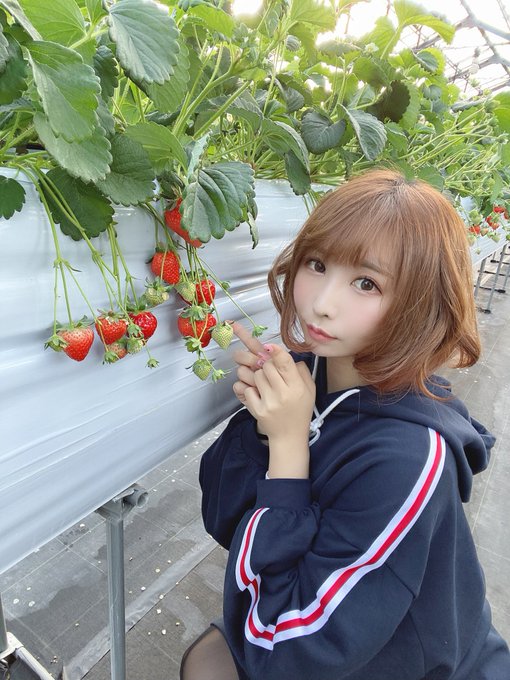 Twitterのコスプレ画像5