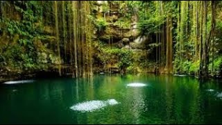KingdomRiddle's tweet photo. Beautiful  relaxing music, peaceful piano &amp; guitar music by soothing relaxation
https://t.co/kJOfqdYZDD
#آلوآتـساب 
#المصريه_ولا_الاجنبيه 
#WorldCancerDay 
#WorldCancerDay2020 
#DiaMundialContraElCancer 
#BonadioEnVosConfio 
#INDvPAK https://t.co/KSzeWjZB4R