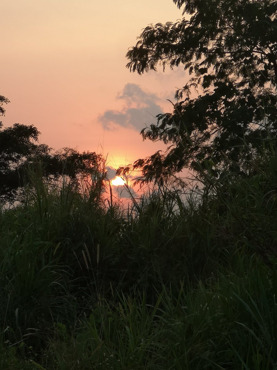 twiischibis's tweet photo. Watched the sunset during market time... π #peacecorps #pcvlife #thailand https://t.co/sV34Vru2fu