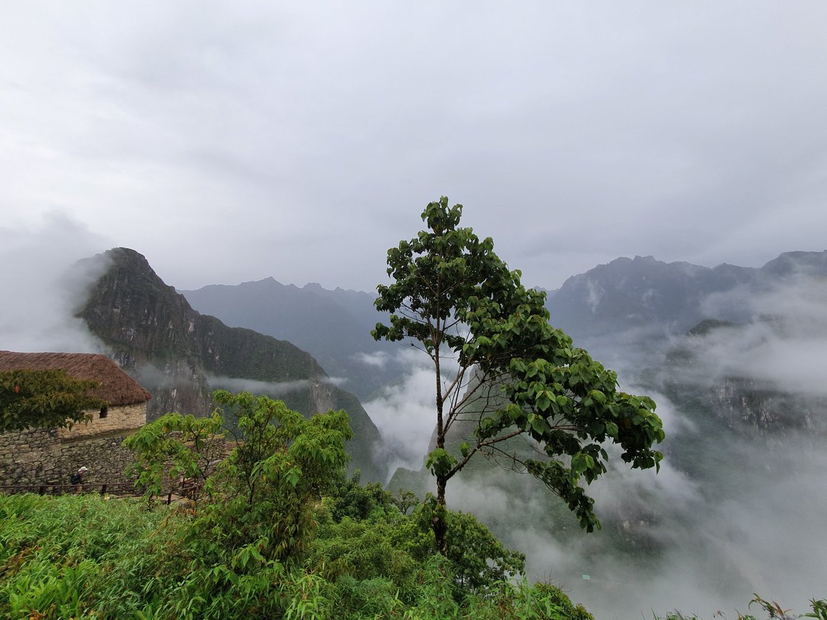 Vista de las alturas, empezando a subir a Machu Picchu. Las montañas están con niebla y parece como de cuento de fantasía.