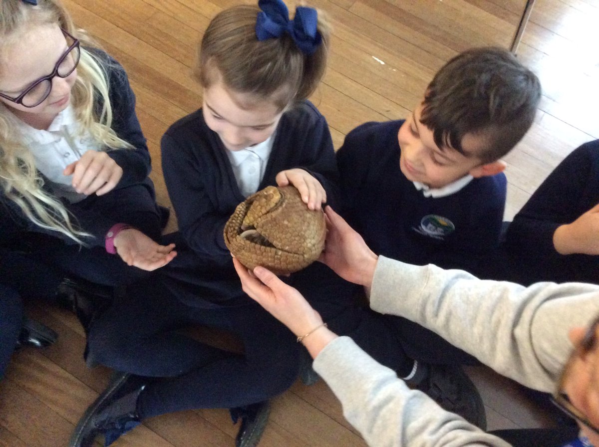 blaenbaglanmorg's tweet photo. Animal encounters - #amazing #sciencetopic https://t.co/ikUsJUAoik