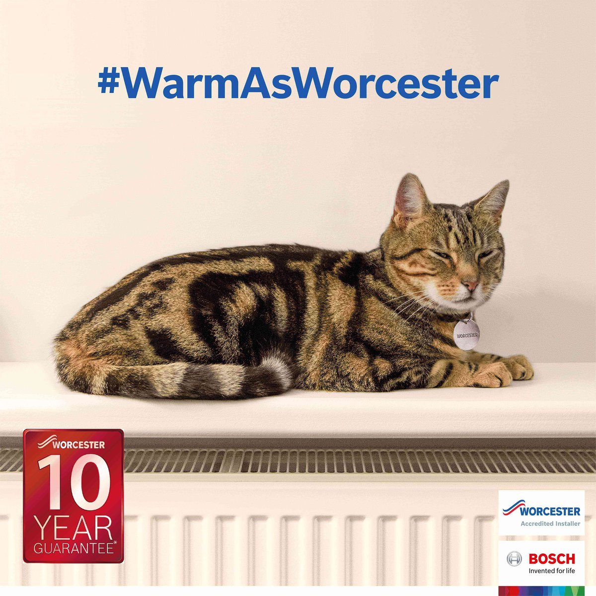 JMBSltd's tweet photo. Did you know we are Worcester Bosch Gold Accredited Installers? 😃👨🔧
We still provide the same Mutch Better Service but can also offer you greater parts &amp; labour guarantees on Worcester's already amazing products #WorcesterAccreditedInstallers #WorcesterBosch #BoilerInstallers https://t.co/Lxioaxagyp