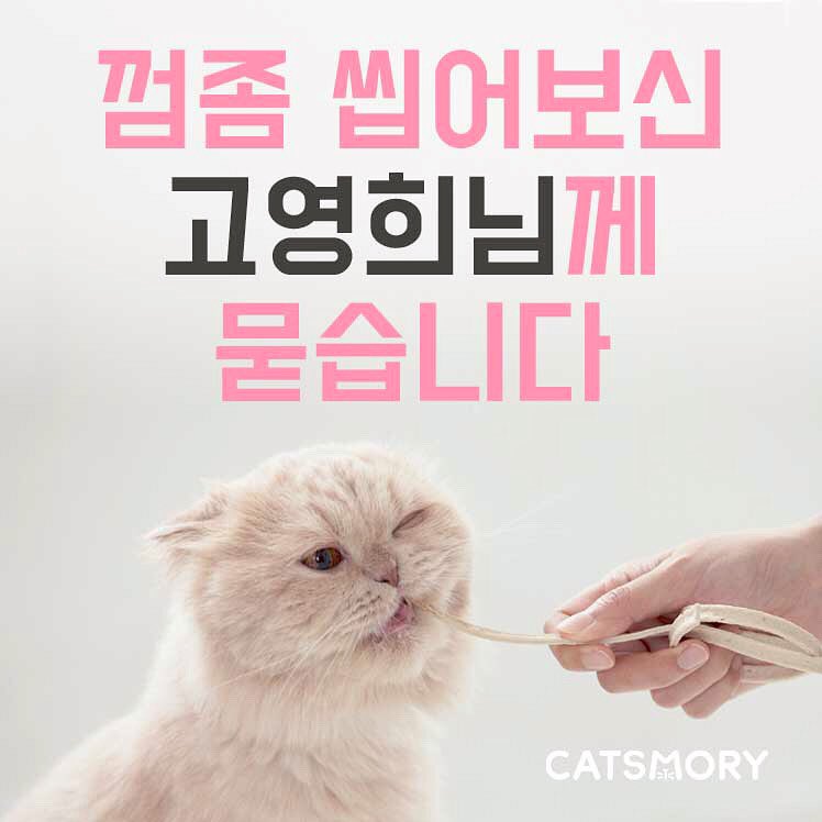 catsmory's tweet photo. 와이어츄를 직접 경험해보신 집사님의 솔직한 이야기를 듣고 싶습니다🙇🏻‍♀️
* 설문에 참여하신 모든분들께 와이어츄 1p를, 추첨을 통해 5분께 출시 예정인 신제품을 미리 보내드립니다(신제품 출시 6월 예정)

https://t.co/bNKUkmwlZk
#캣츠모리 #와이어츄 https://t.co/EkTWEjGCon