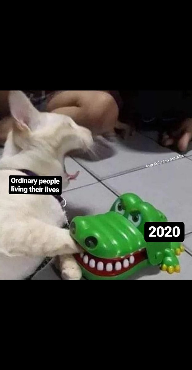 David Weikle (@weikleforsenate) on Twitter photo 