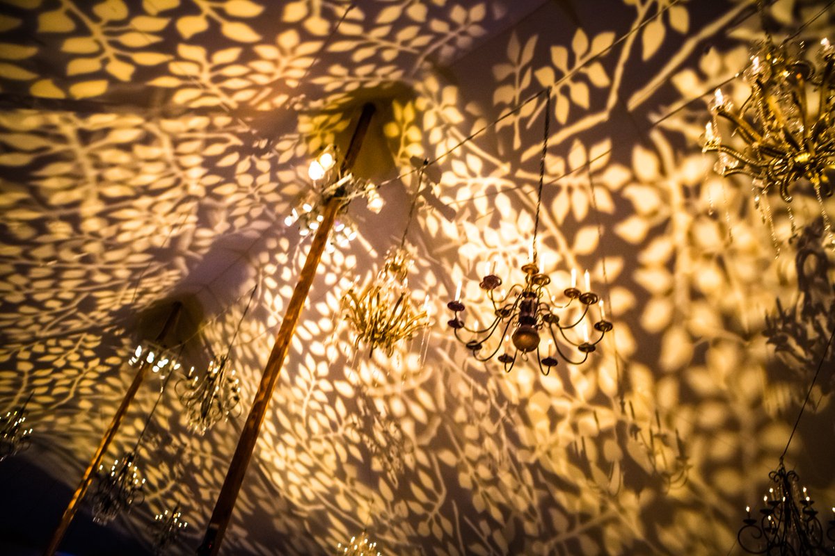 JoAnn_Gregoli's tweet photo. #TuesdayTip, when planning your fabulous floral; think outside the box and look for unique ways to brighten your wedding day blossoms. I loved the vines projected on the ceiling of this #tentedreception. https://t.co/cL1lwFH313
