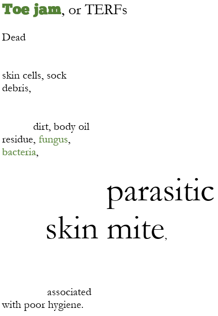 Toe jam, or TERFs

Dead skin cells, sock debris, dirt, body oil residue, fungus, bacteria, parasitic skin mite, associated 
with poor hygiene.
