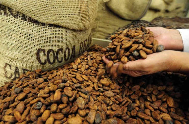 vibiznews's tweet image. Harga Kakao Masih Tertekan Peningkatan Pasokan Pantai Gading vibiznews.com/2020/02/04/har… via @VIBIZNEWS.COM 
#cocoaprice #icecocoa #ivorycoast