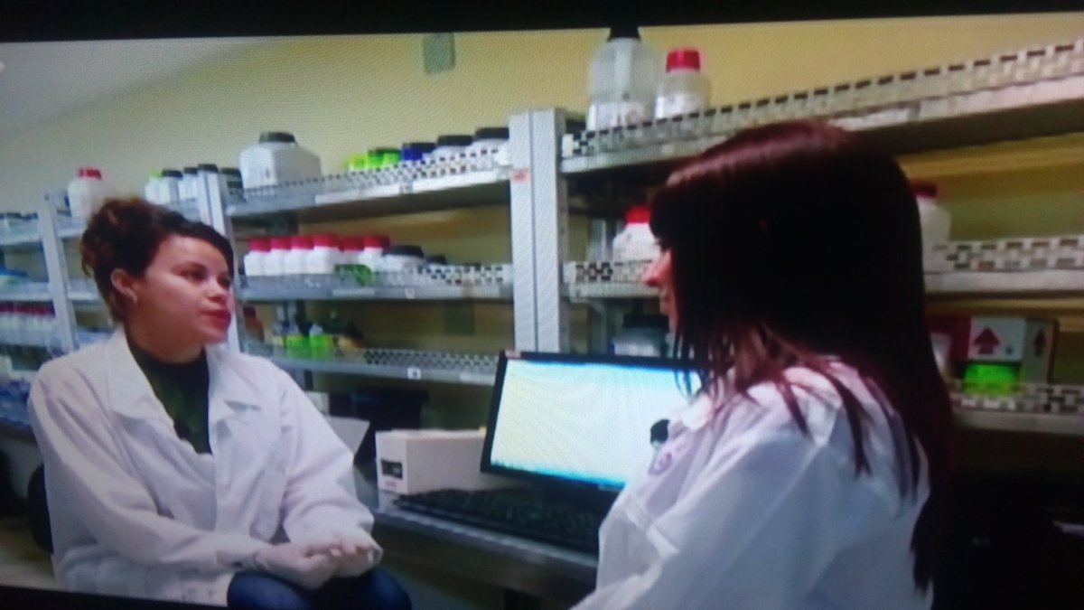 PipoSanchez63's tweet photo. En @BIOCENCU se estimula el trabajo en equipos en el campo d la #innovacion y la #invención, se potencia la participación d jóvenes y se promueven acciones d #SuperaciónCientíficoTécnica
Así quedó expresado en el #ProgramaECOS de la #TVCubana
#BioCenVaPorMás
#BioCenEnTodasPartes https://t.co/dvz9404dxF