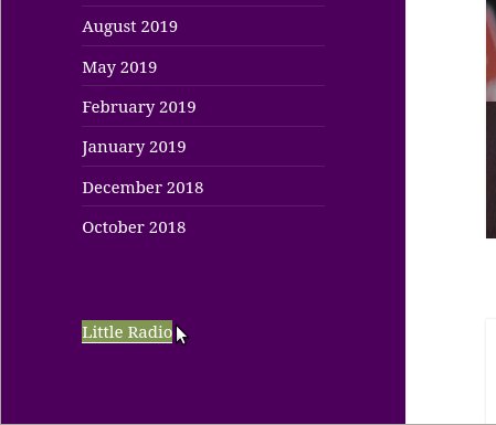 Another screenshot of the same area, with the text of that link highlighted, showing it says “Little Radio”