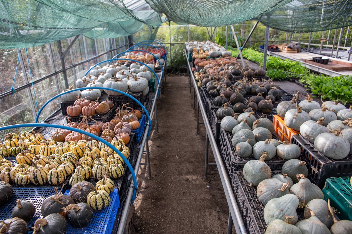 SchoolFarmCSA's tweet image. Don't forget to sign up for your weekly organic veg box 🥕For 2020 membership sign-up here &amp;gt;📝schoolfarmcsa.org.uk/membership/mem……
🌟We are looking for new members so spread the word!
🌟Standard and small organic veg boxes available
🌟Support your local CSA
@ReconnectMag @TTTotnes #totnes