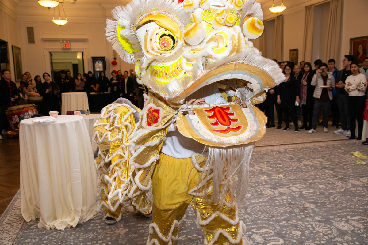 Lion Dance for Lunar New Year