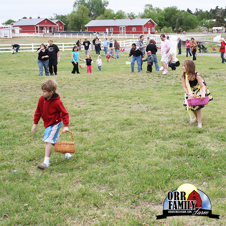 orrfamilyfarm's tweet photo. Our Easter EGGstravaganza events are coming up! Don’t miss out on April 4 or 11 with hunts at 11 a.m., 1 and 3 p.m.! 🐰🐣 Don’t miss out on a HOPPIN’ good time! https://t.co/SMtmdM9PeA