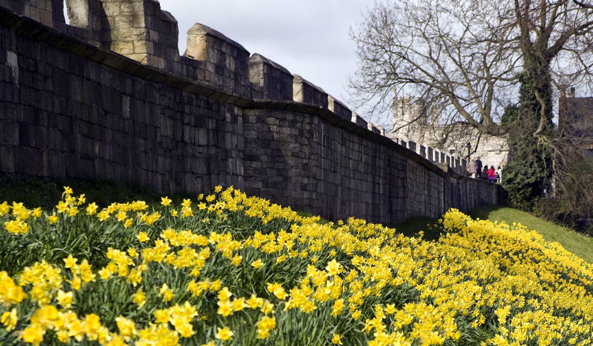 York is simply stunning in the spring. Where is your favourite place to embrace the season? 🌼 #OnlyInYork