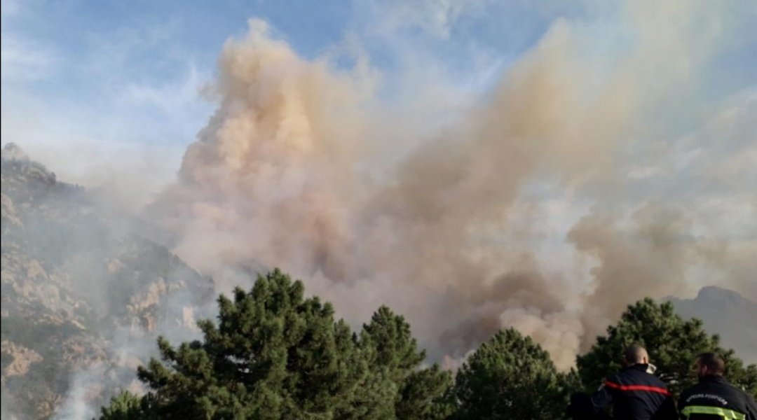 sis_2b's tweet image. Feu #Quenza 🔥
Le Psdt @GuyArmanet est au #CODIS pr un point de situation
➡️1082 ha parcourus
➡️ 210 SP, 74 véhicules + Dragon2b engagés.
👍Remarquable coordination avc @sdis2a. Remerciements aux équipes #FORSAP @UIISC5CORTE #Base126 @Gendarmerie et aux élus de #Sari &amp;amp; #USulaghju