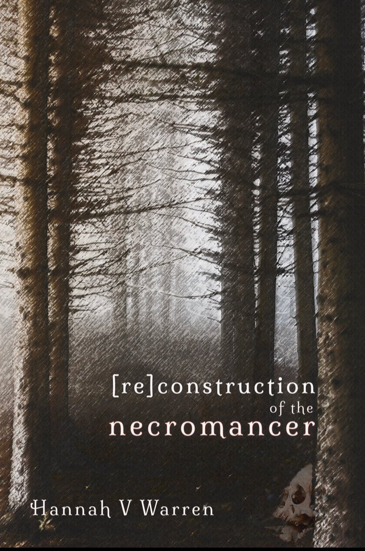 hannahvwarren's tweet photo. [re]constuction of the necromancer, my new chapbook, exists in the world now with @SundressPub, and the best part is that you can read it in full online! Follow the link for fairy tale, for the collection described as "witchy and dangerous."

https://t.co/uSNKlHjrU6 https://t.co/iRZgHDrY94