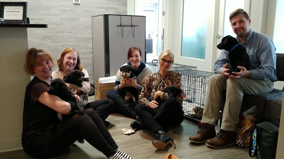 aplin_sk's tweet photo. @aplin_sk partnered with @BRITEBOXStorage &amp; @NHDRSaskatoon for a Puppy Party Fundraiser!  Thank you to @NHDRSaskatoon for our cuddles. NHDR provides safe, foster-based homes for neglected &amp; unwanted puppies &amp; adults until they find forever homes. ADOPT! #AdoptDontShop #puppies https://t.co/WnMUaoDOIv