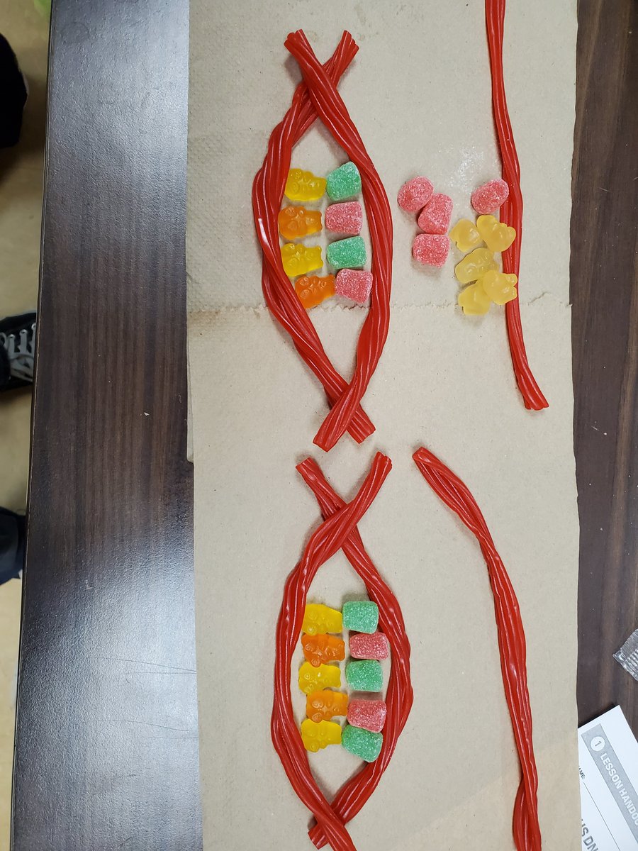 LeRoySTEM's tweet photo. We are starting our discussion on DNA and GMOs. Check out #LHSSTEM edible strands of DNA. https://t.co/abHw611Jj9