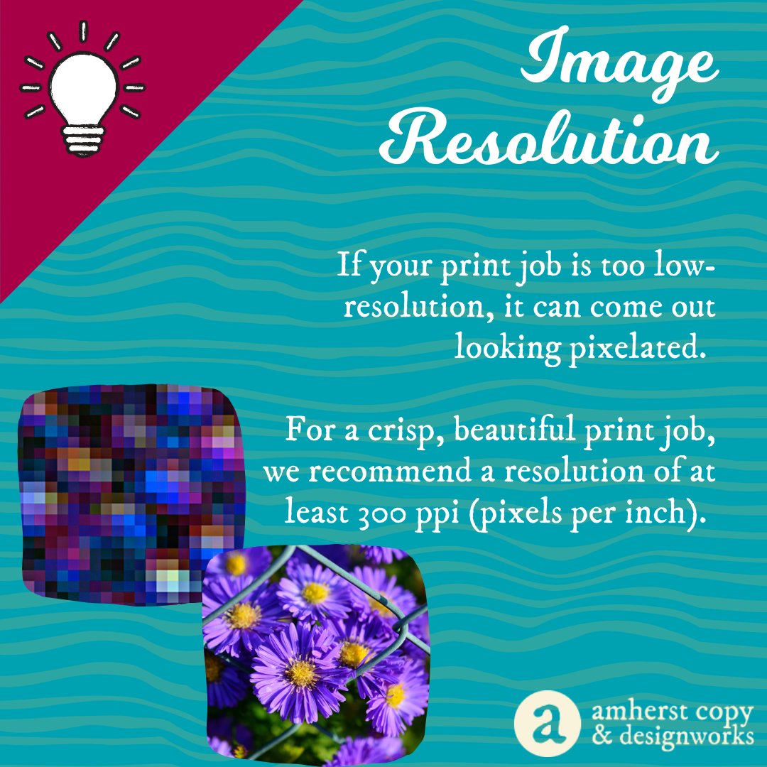 Amherst Copy (@AmherstCopy) / Posts / X