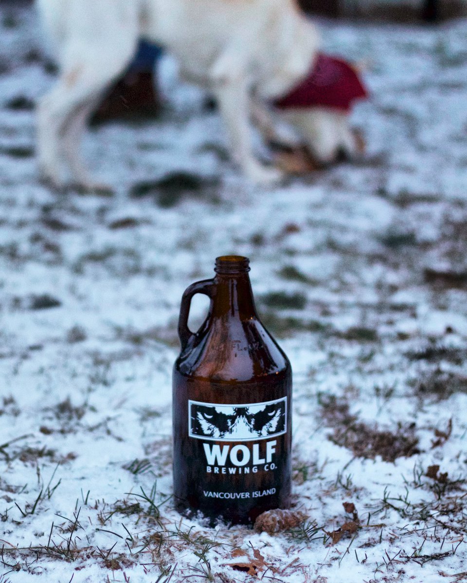 Snow day? S’no problem! ❄️ Little bit of a dusting this morning reminding us that it’s still winter! Open from 12-6 for growlers fills etc. #nanaimo #snowday