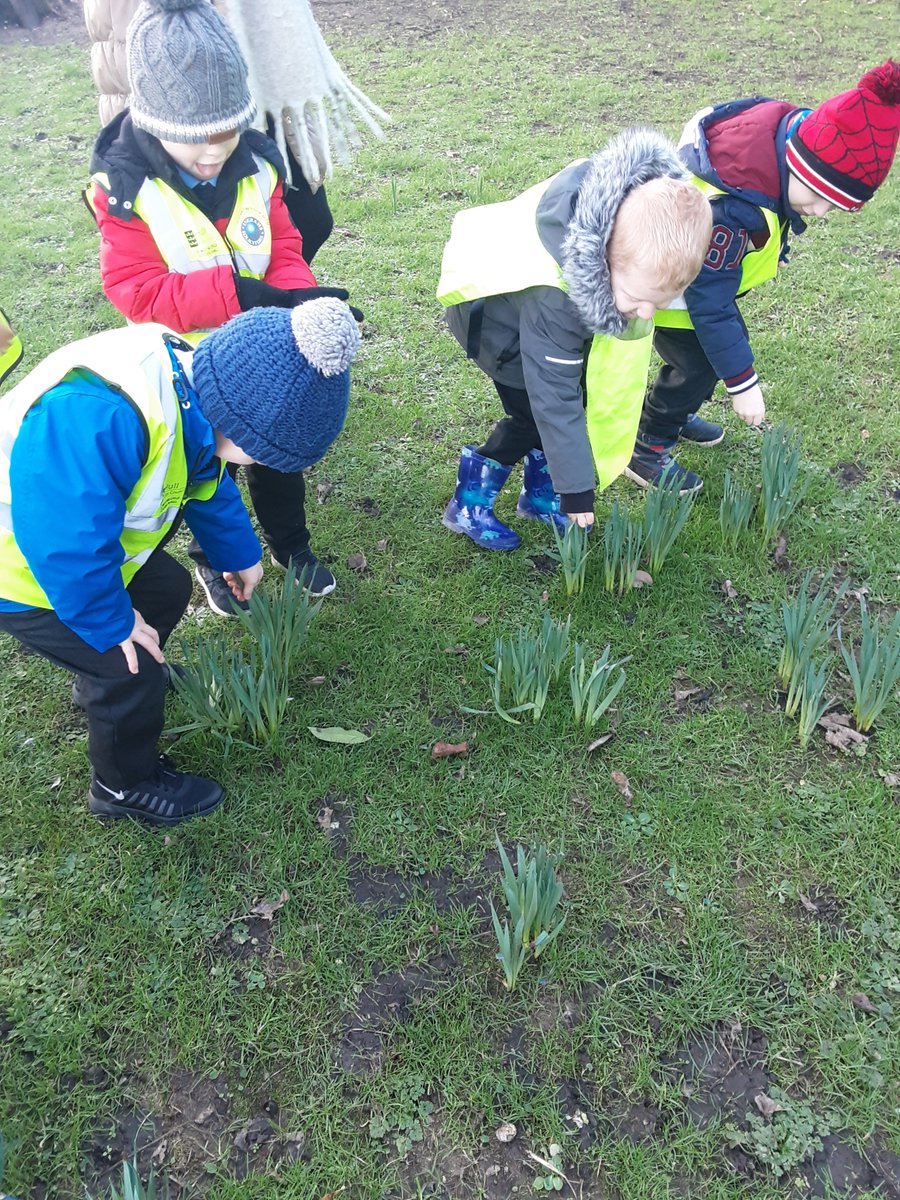 LonghillPrimary's tweet image. F2 wrapped up warm and explored East Park looking for signs of winter. We were thrilled to discover a decorated stone – please let us know if it belongs to you! #LPSHull #EYFSTheWorld #Hullrocks