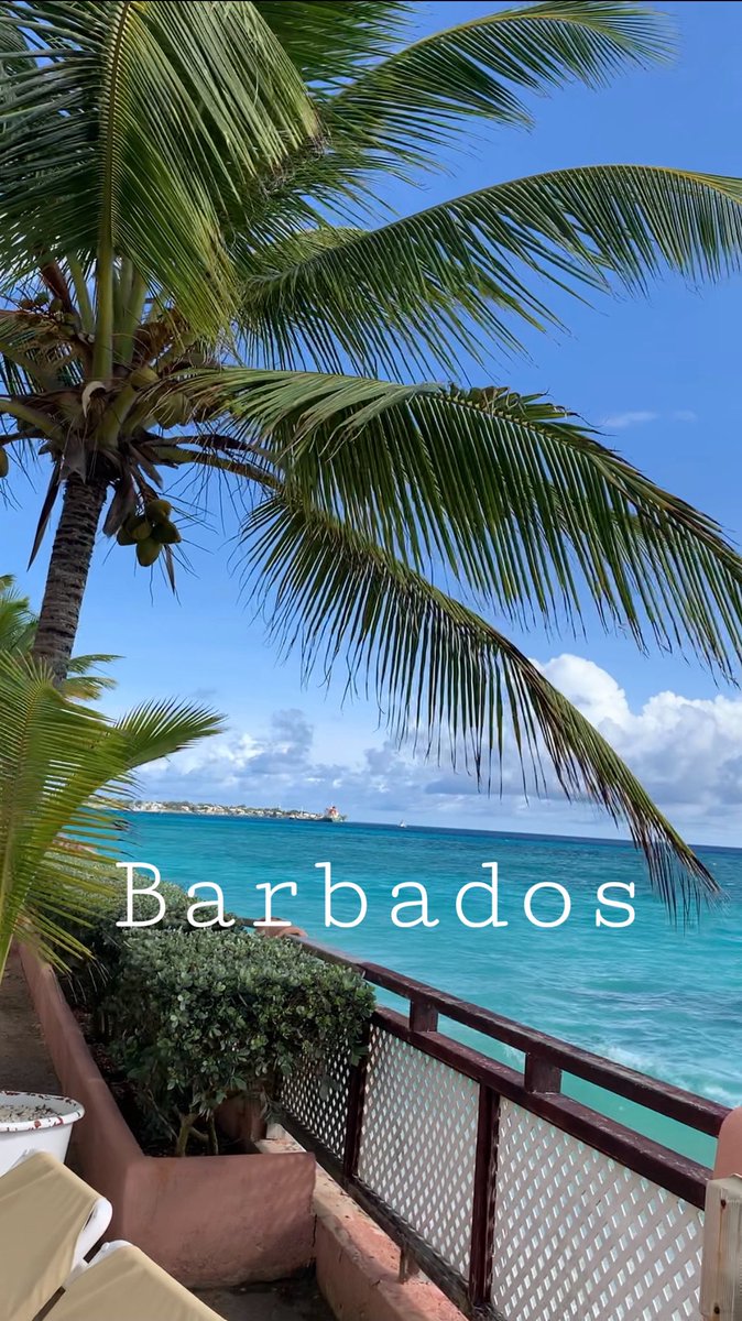 Viviana Guzman tweet media