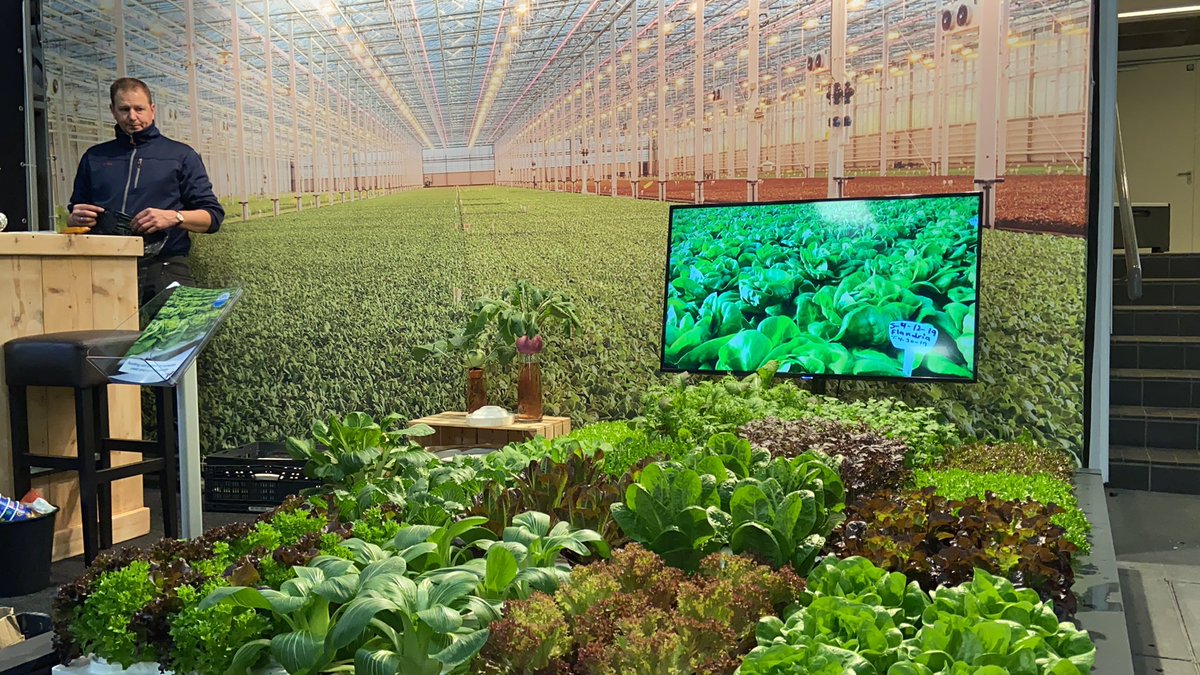 Dry_Hydroponics's tweet photo. https://t.co/lhmpsVjXOz