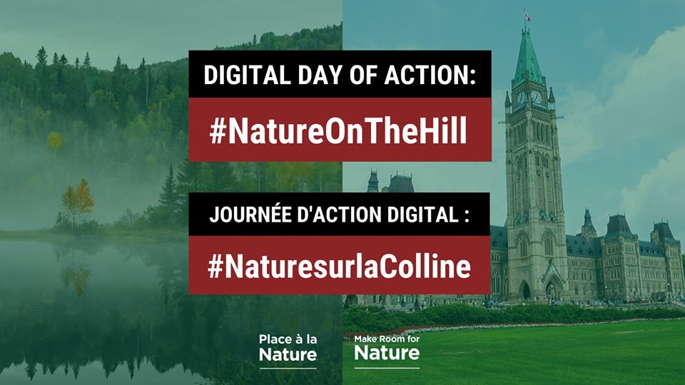 NatureNB's tweet photo. Today is #NatureOnTheHill, a national digital day of action. Nature leaders are meeting with MPs and Senators in Ottawa to make the case for Protected Areas and the importance of protecting 25% of land by 2025 and 30% by 2030.

Tweet your reps today!

https://t.co/FmNlusdZlU https://t.co/doHow85D9D