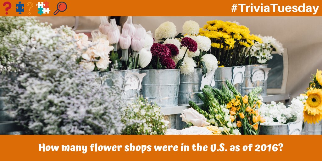 In honor of Valentine’s Day coming up, this #TriviaTuesday question is about flowers! As of 2016, approximately how many flower shops were there in the United States? Post your guess and we’ll share the correct answer later!