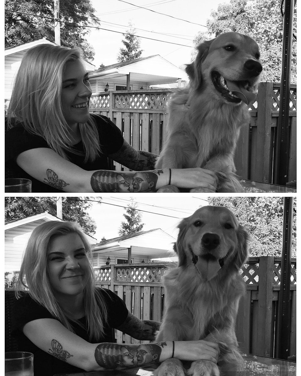 kaatieleith's tweet photo. Happy (yesterday) Golden Retriever Day to this goofy boy! https://t.co/hemgKVcehz
