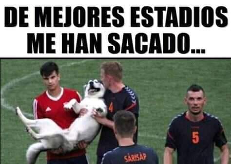 LocurasdeMagdal's tweet photo. https://t.co/ccY5ywIr6S