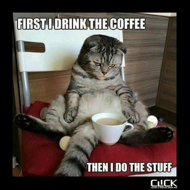drinkclick's tweet photo. With a double-shot of espresso, premium protein &amp; 23 essential vitamins, we hope your day is CLICK'n!? 😀😄😆 Haven't CLICK-ed yet? Check-out our CLICK SAMPLER offer with all 3 delish coffee-house flavors plus FREE shipping here 🤩 ==> see link @drinkclick
*
*
*
#proteincoff… https://t.co/Wb9CVsqnUD