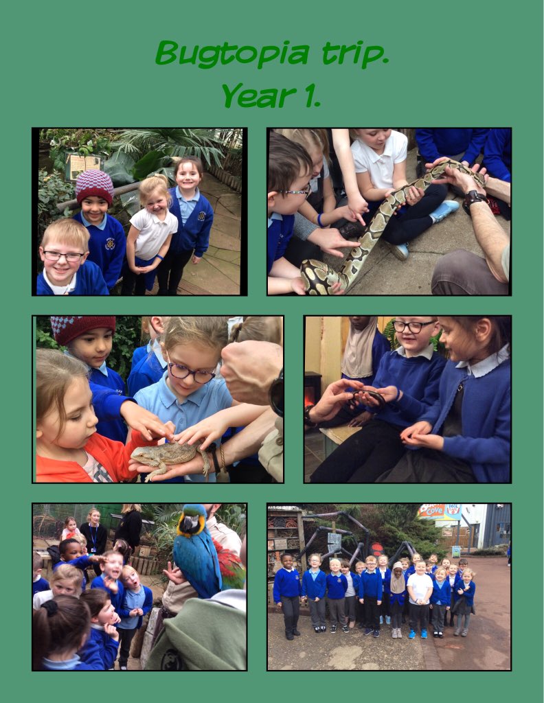 Wheeler_PS's tweet photo. What an amazing day Year 1 have had at @BugtopiaHornsea ! Weβve learnt so much about the rainforest and the plants and animals that live there! We even got hold some of them!!! #wheelercurriculum @HCATschools #wearewheeler https://t.co/uaDWi2GBvx