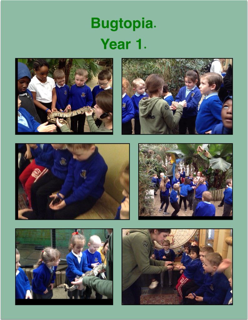 Wheeler_PS's tweet photo. What an amazing day Year 1 have had at @BugtopiaHornsea ! Weβve learnt so much about the rainforest and the plants and animals that live there! We even got hold some of them!!! #wheelercurriculum @HCATschools #wearewheeler https://t.co/uaDWi2GBvx