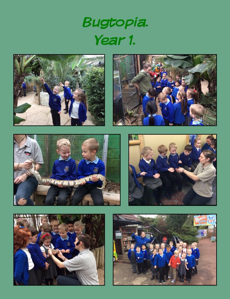Wheeler_PS's tweet photo. What an amazing day Year 1 have had at @BugtopiaHornsea ! Weβve learnt so much about the rainforest and the plants and animals that live there! We even got hold some of them!!! #wheelercurriculum @HCATschools #wearewheeler https://t.co/uaDWi2GBvx