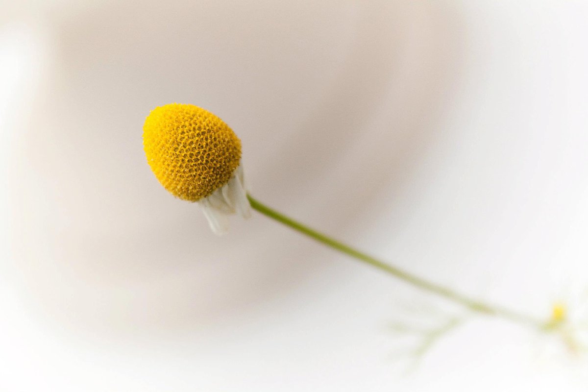 dpallerismo's tweet photo. Un abrazo gigante a aquellos que luchan contra el Cáncer en especial a quienes son parte de @FundacionJCCEcu quienes nos regalan lecciones de vida. Aquí algo de los talleres de fotografía para jóvenes con cancer, que hicimos junto a @Jent_ec . https://t.co/5dEYwSjixG https://t.co/SxjuhzdEzF