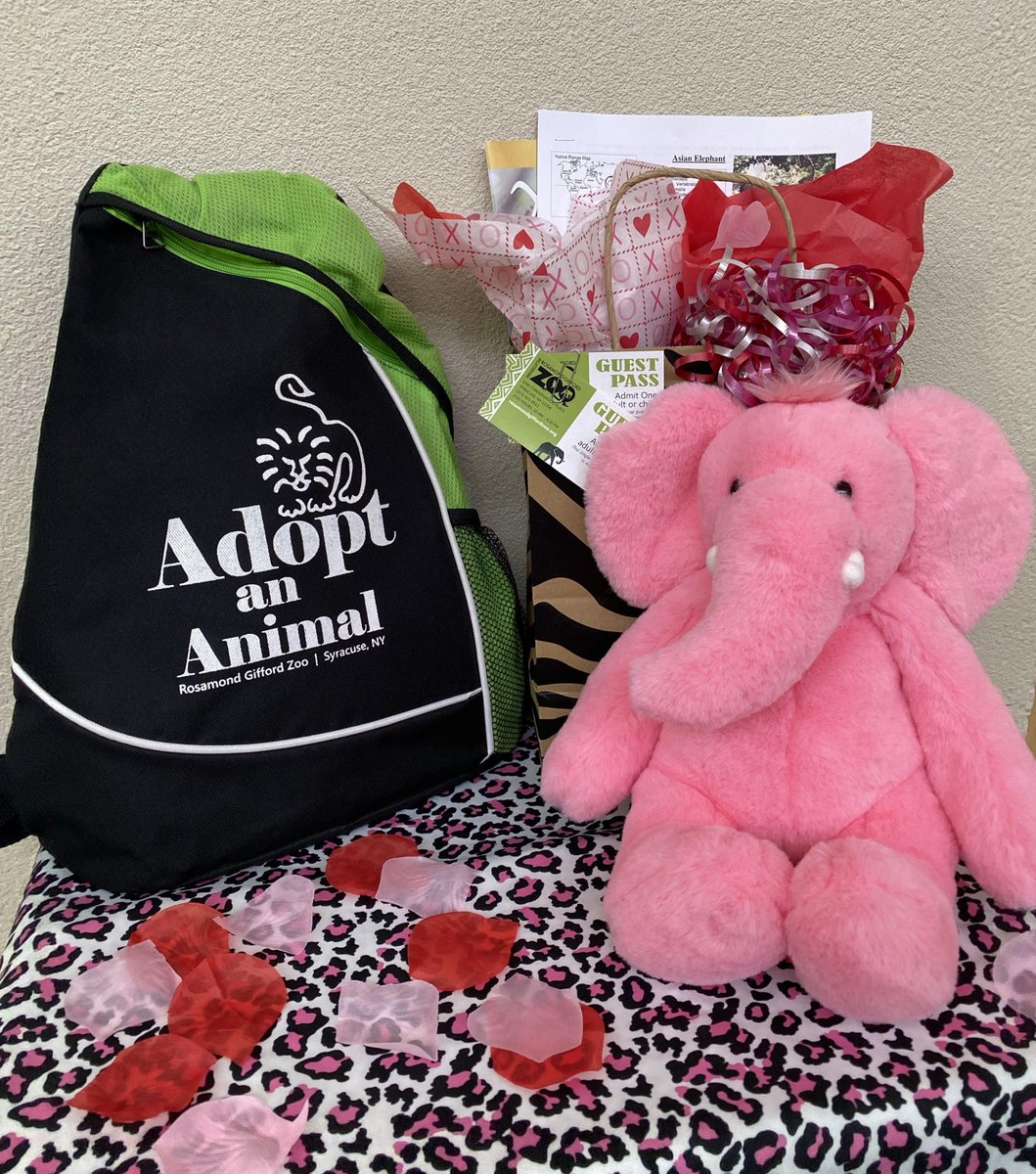 SyracuseZoo's tweet photo. Today's the last day to get FREE shipping on your Valentine's Day Adopt-an-Elephant package! This awesome gift benefits elephant care at the zoo. Purchase at https://t.co/AOqi3qOJrG
Your Valentine will love it ENORMOUSLY! 
#syracusezoo #AdoptAnElephant #ValentinesDay #bestdayever https://t.co/1IhP6yxiTi